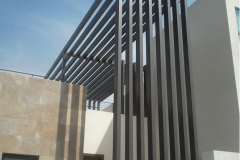 New_Picture_(3)